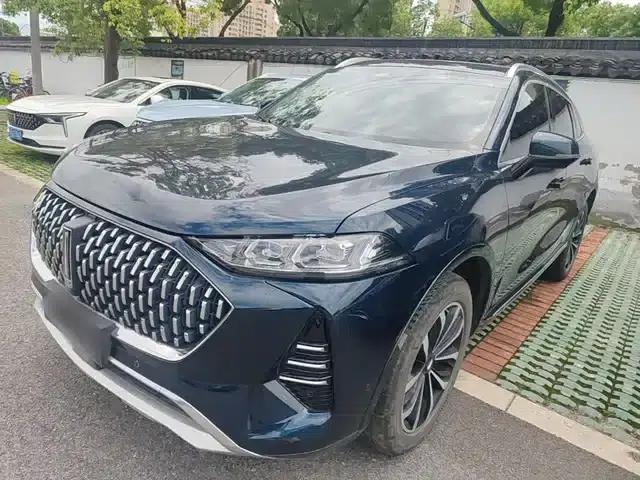 Wey brand Mocha 2021 2.0T 2WD Special Edition