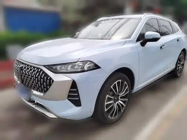 Wey brand Mocha 2021 2.0T 2WD Special Edition