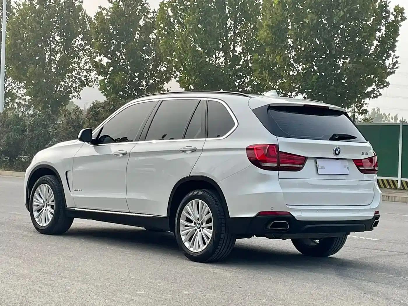 2014 BMW X5 xDrive35i Elegant (Imported) — миниатюра 7