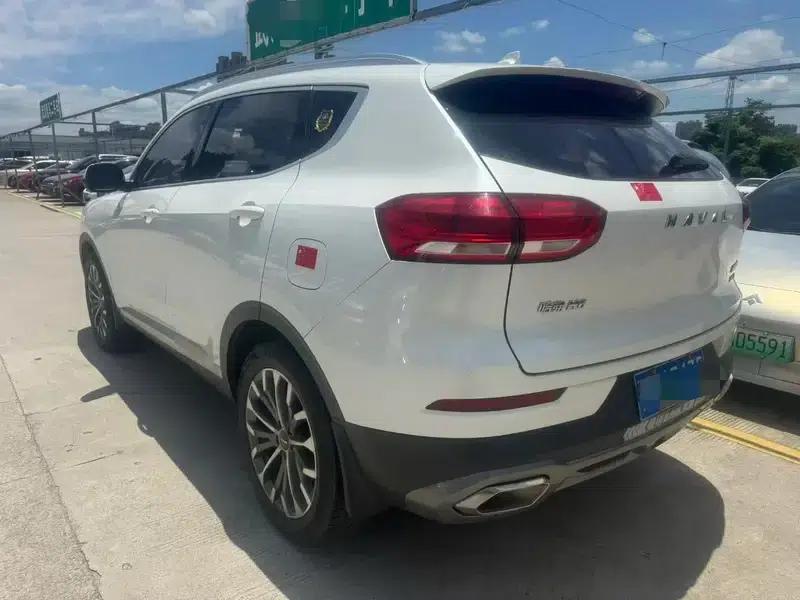 Haval H6 2020 2.0GDIT Automatic Platinum Champion Edition — миниатюра 4