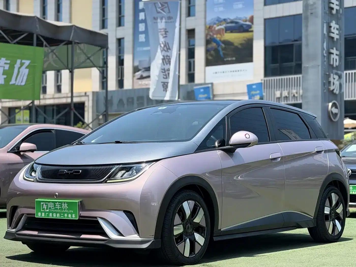 Dolphin 2021 Model 401km/h Knight Edition — миниатюра 1