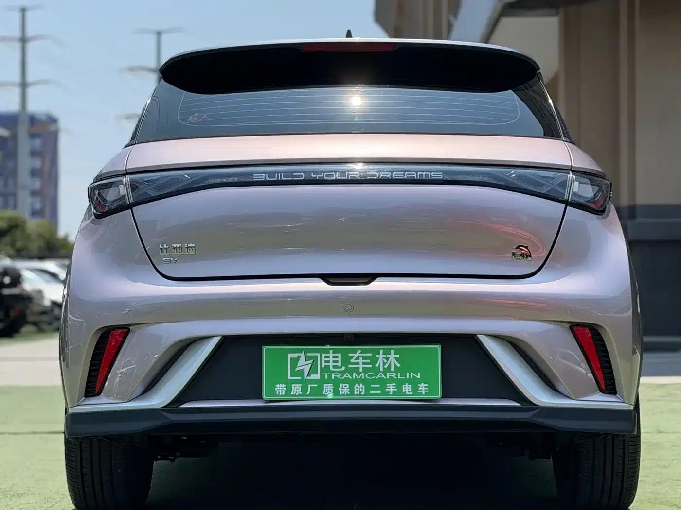 Dolphin 2021 Model 401km/h Knight Edition — миниатюра 17