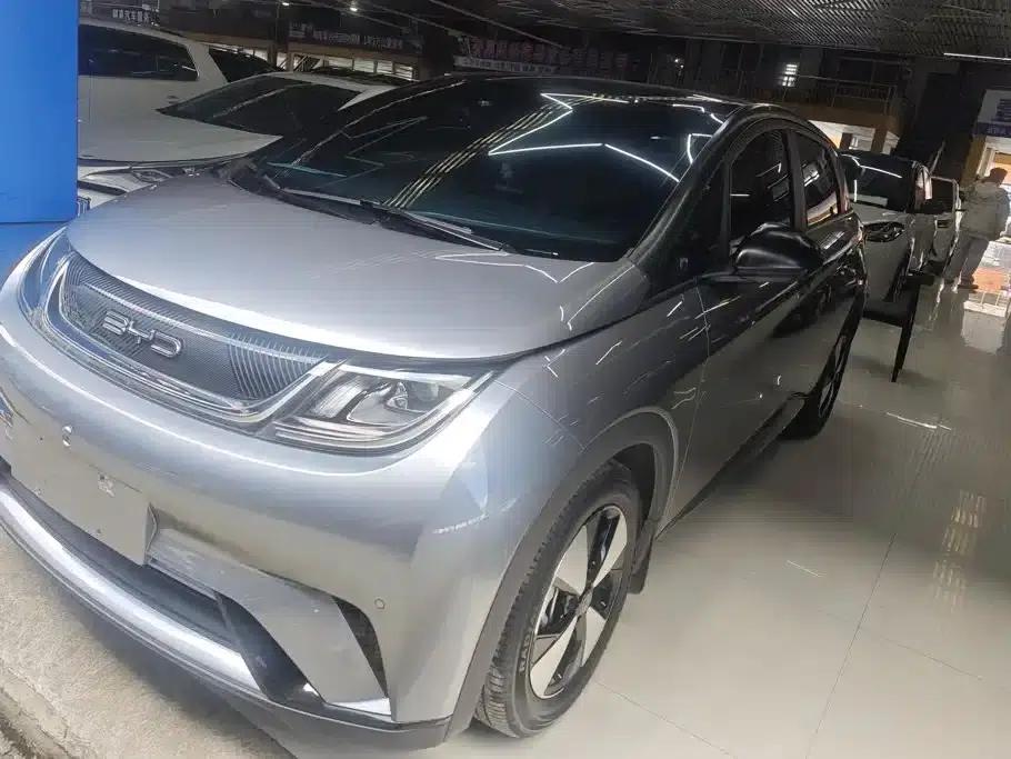 Dolphin 2023 420km Fashion Edition — миниатюра 1