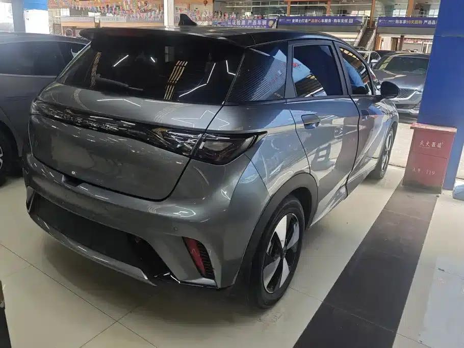 Dolphin 2023 420km Fashion Edition — миниатюра 3