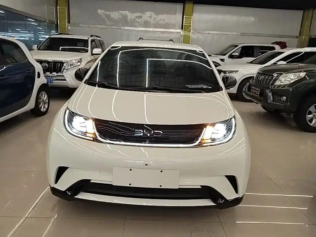 Dolphin 2024 Glory Edition 420km Freedom Edition — миниатюра 3
