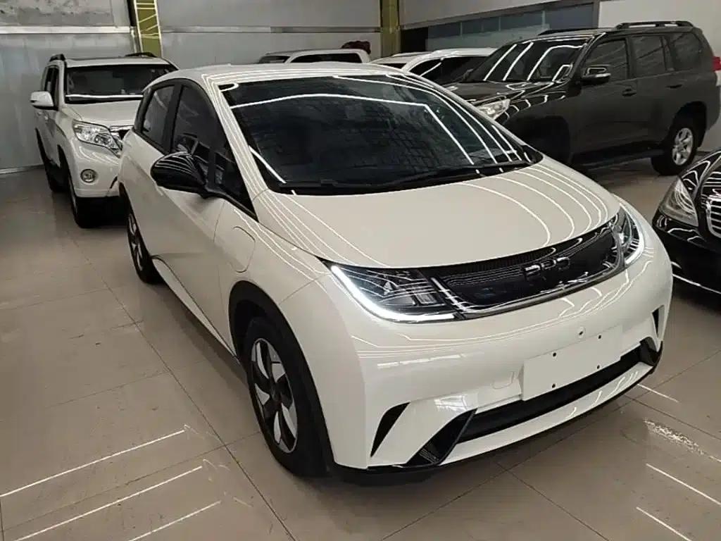 Dolphin 2024 Glory Edition 420km Freedom Edition — миниатюра 4