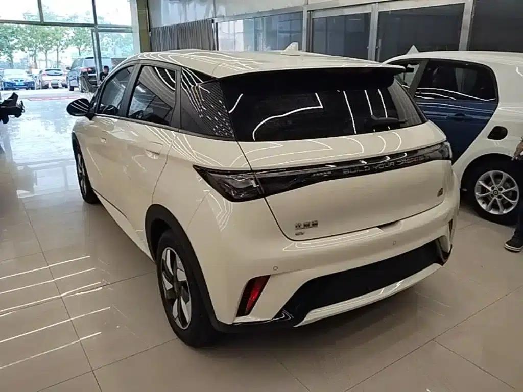 Dolphin 2024 Glory Edition 420km Freedom Edition — миниатюра 5