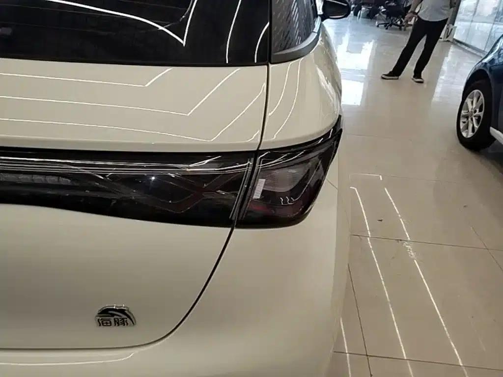 Dolphin 2024 Glory Edition 420km Freedom Edition — миниатюра 8