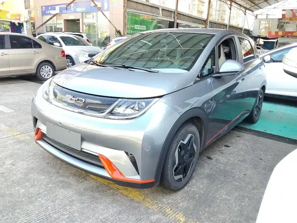 Dolphin 2021 405km Freedom Edition — миниатюра 1