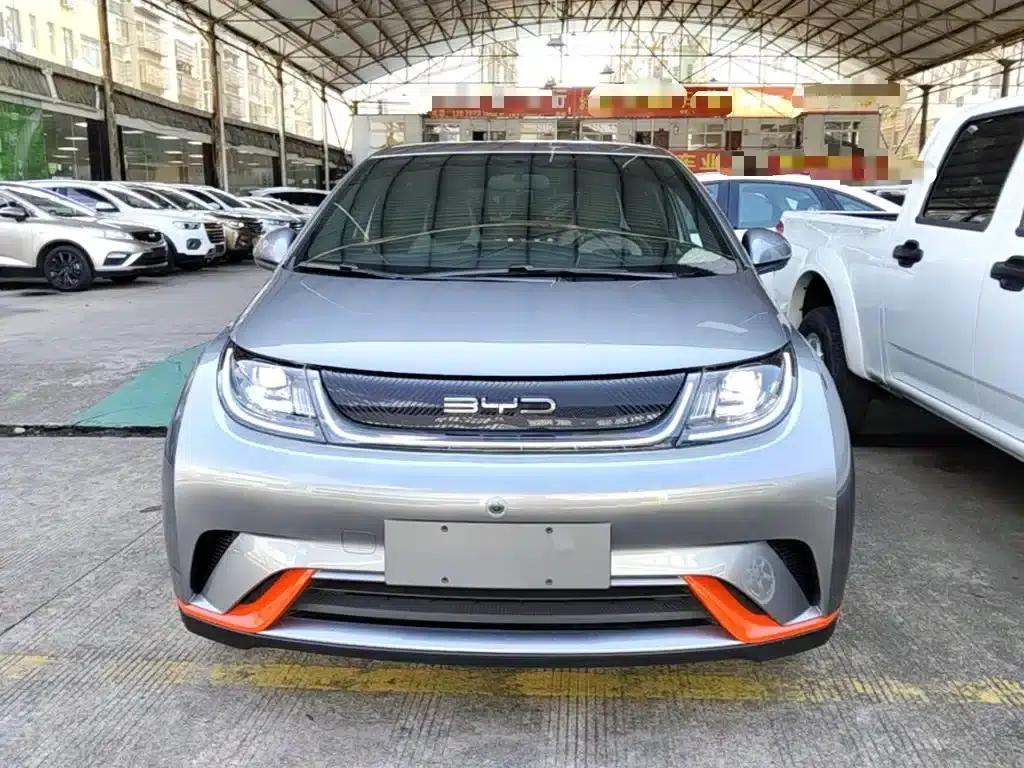Dolphin 2021 405km Freedom Edition — миниатюра 3