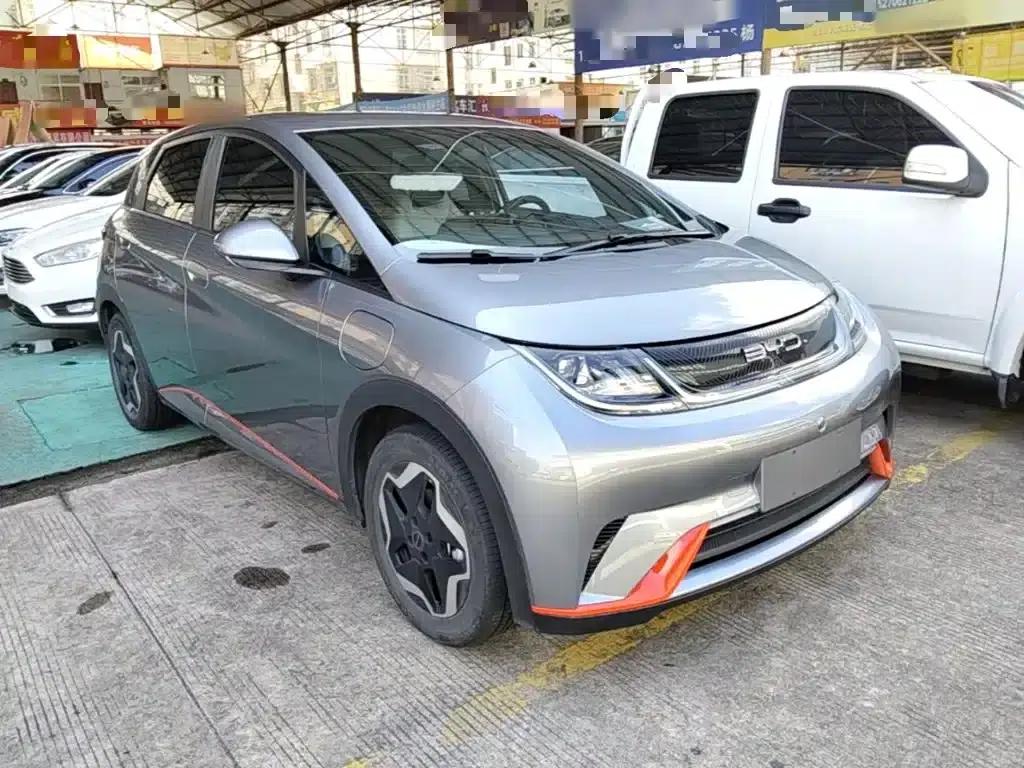 Dolphin 2021 405km Freedom Edition — миниатюра 4