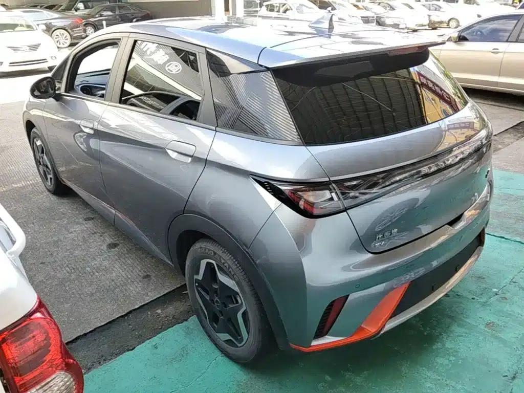 Dolphin 2021 405km Freedom Edition — миниатюра 5
