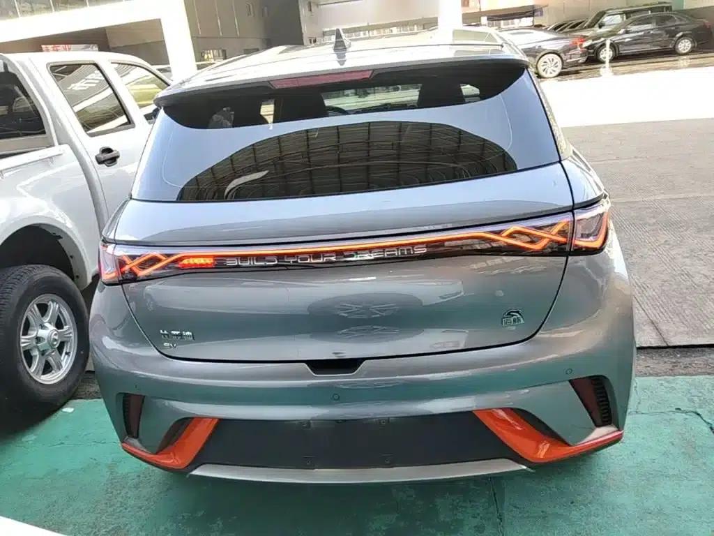Dolphin 2021 405km Freedom Edition — миниатюра 6
