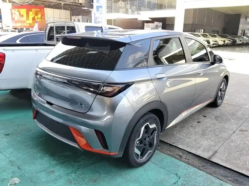 Dolphin 2021 405km Freedom Edition — миниатюра 7