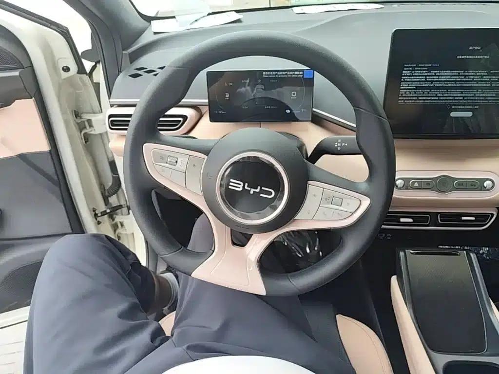 Seagull 2025 Smart Driving Edition 305km Vitality Edition — миниатюра 11