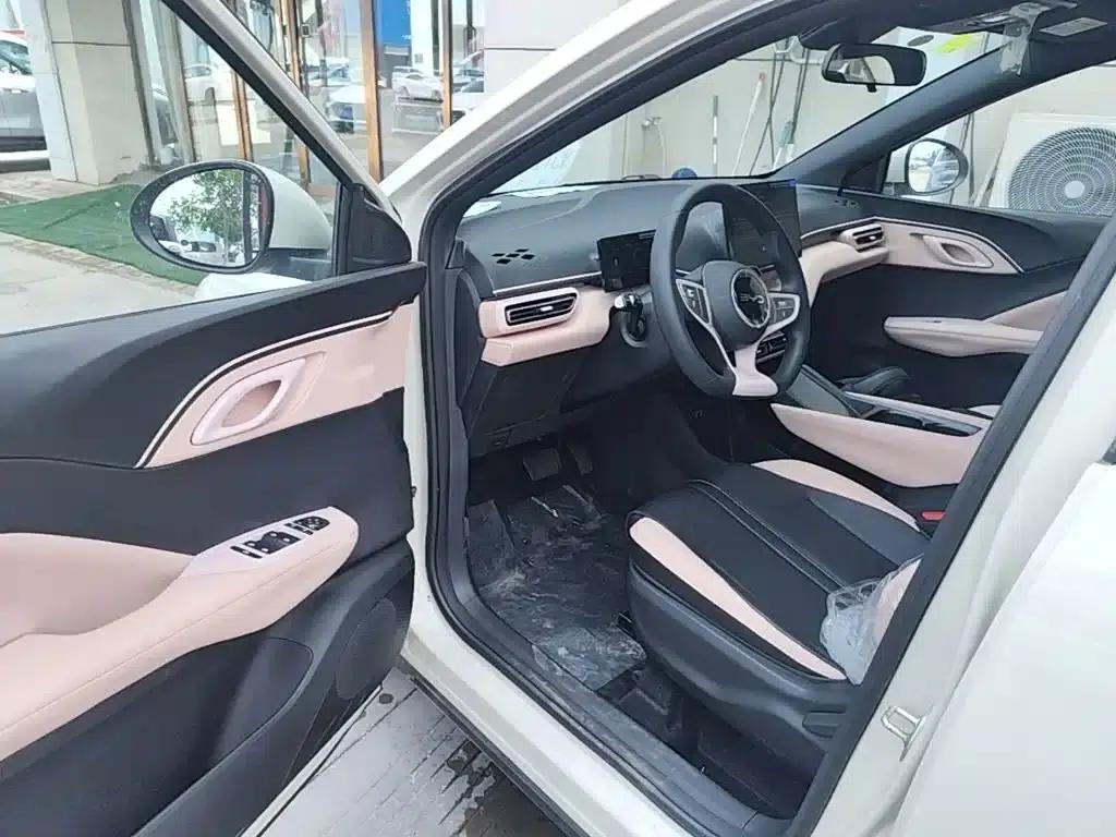 Seagull 2025 Smart Driving Edition 305km Vitality Edition — миниатюра 16