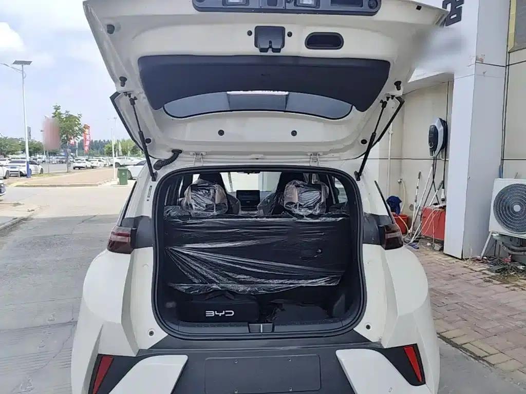 Seagull 2025 Smart Driving Edition 305km Vitality Edition — миниатюра 19