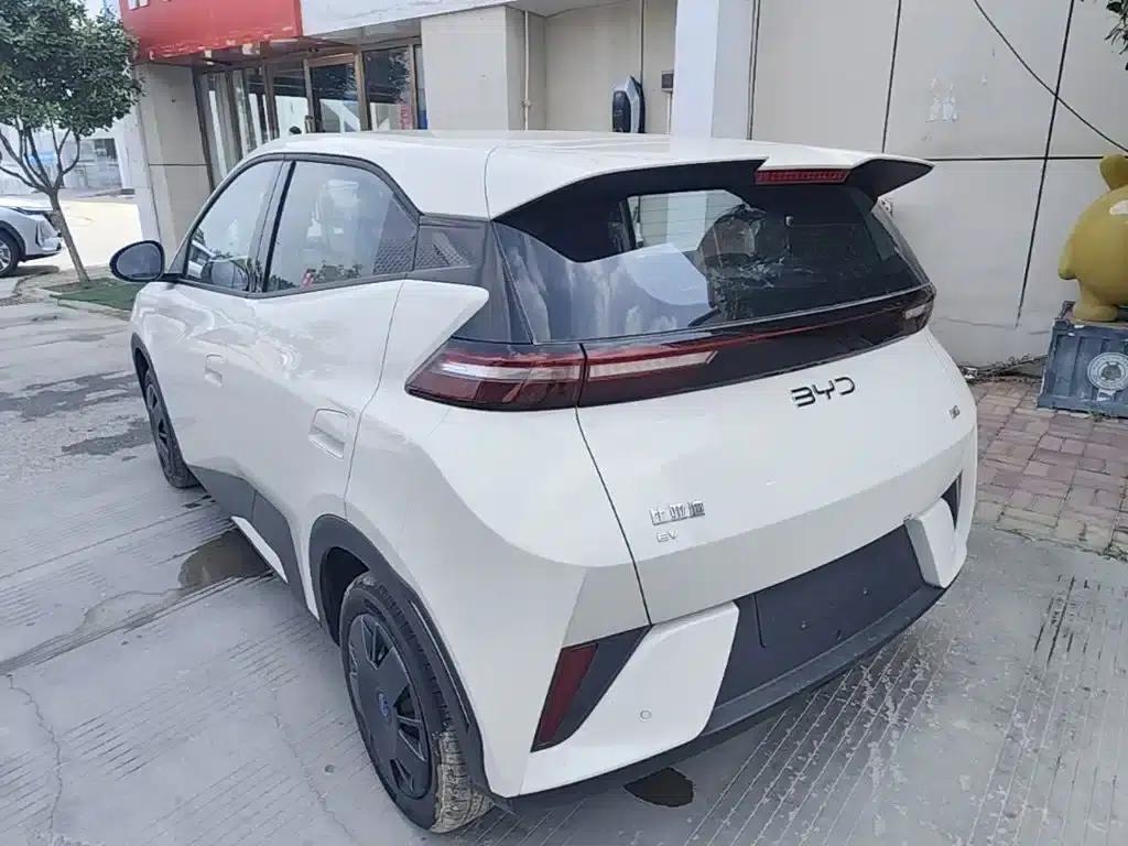 Seagull 2025 Smart Driving Edition 305km Vitality Edition — миниатюра 5