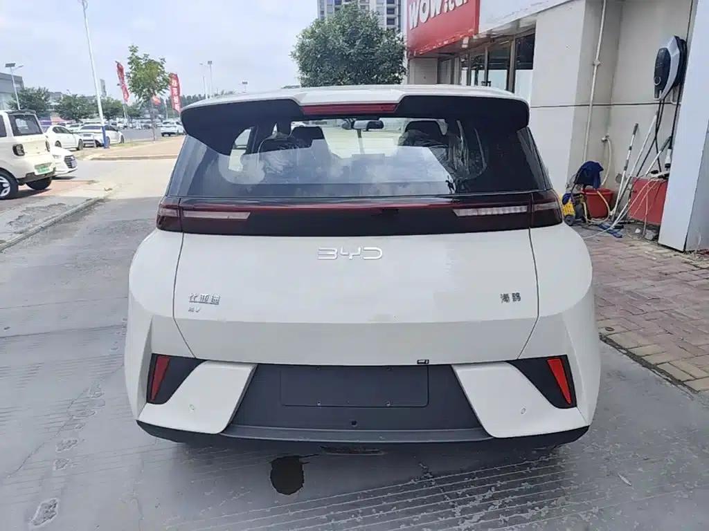 Seagull 2025 Smart Driving Edition 305km Vitality Edition — миниатюра 6