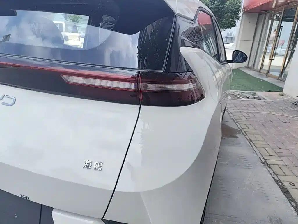 Seagull 2025 Smart Driving Edition 305km Vitality Edition — миниатюра 8