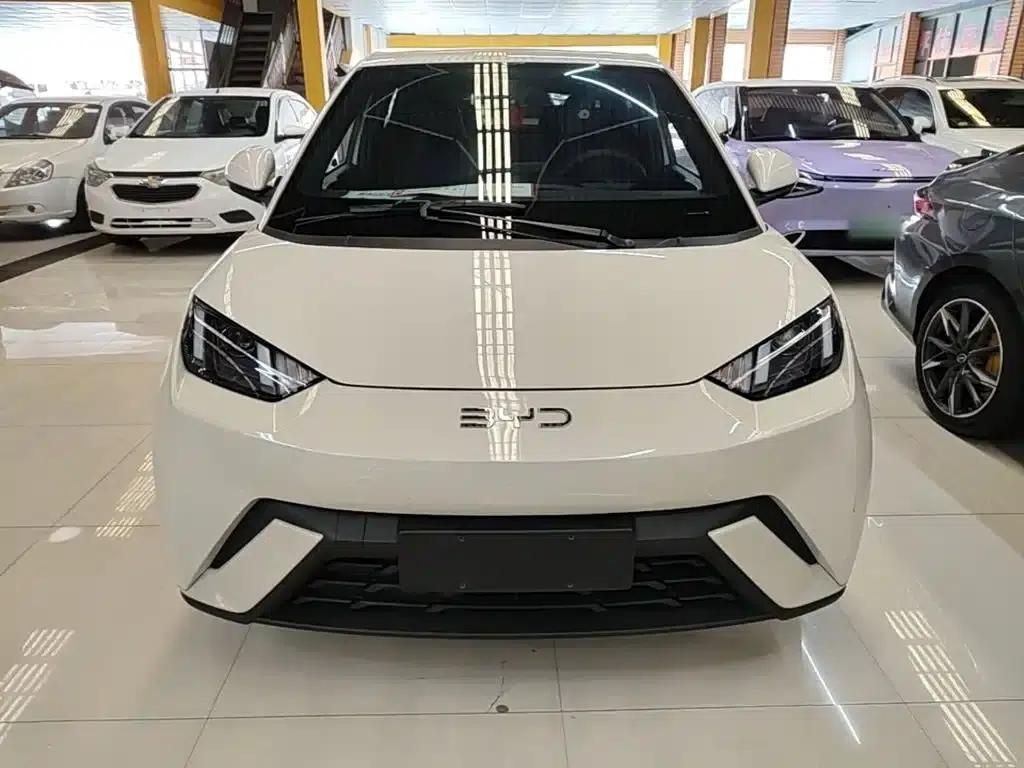 Seagull 2024 Glory Edition 305km/h Vitality Edition — миниатюра 3