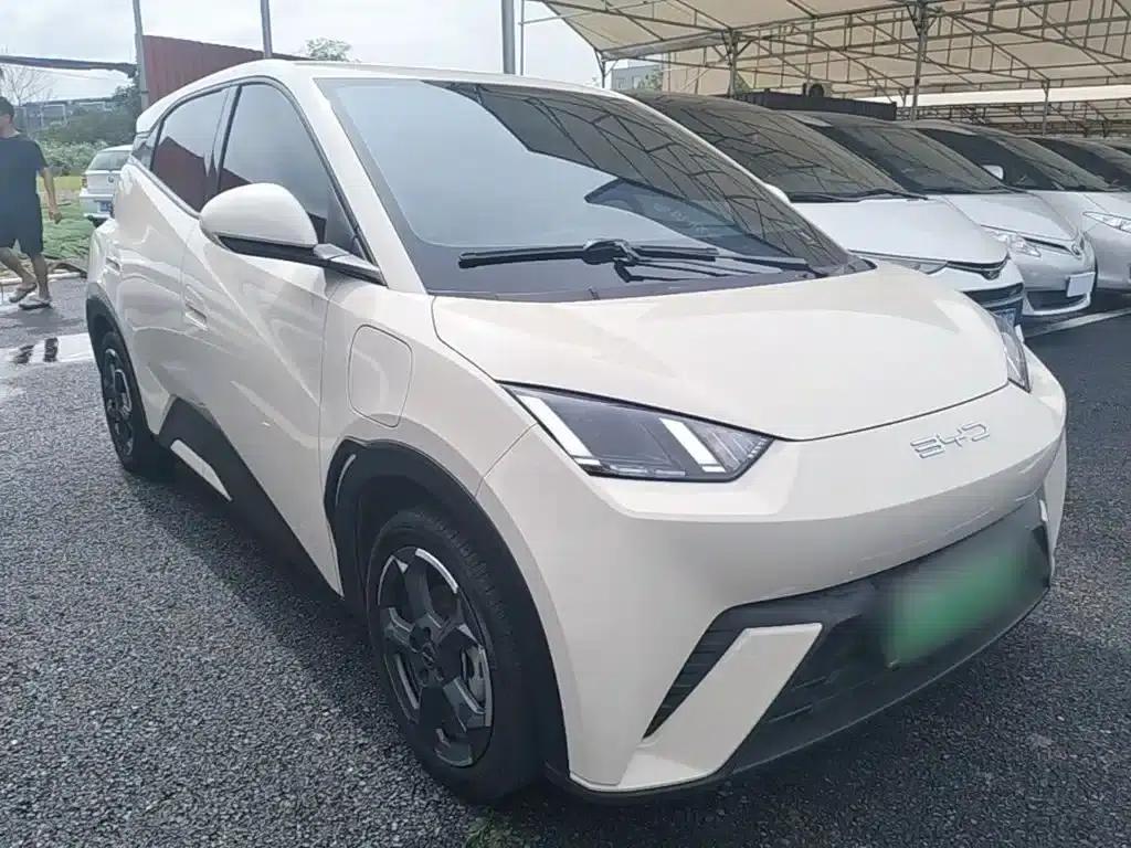 Seagull 2023 Freedom Edition — миниатюра 4