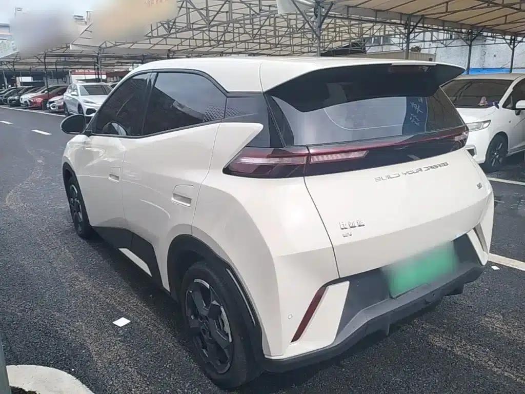 Seagull 2023 Freedom Edition — миниатюра 5