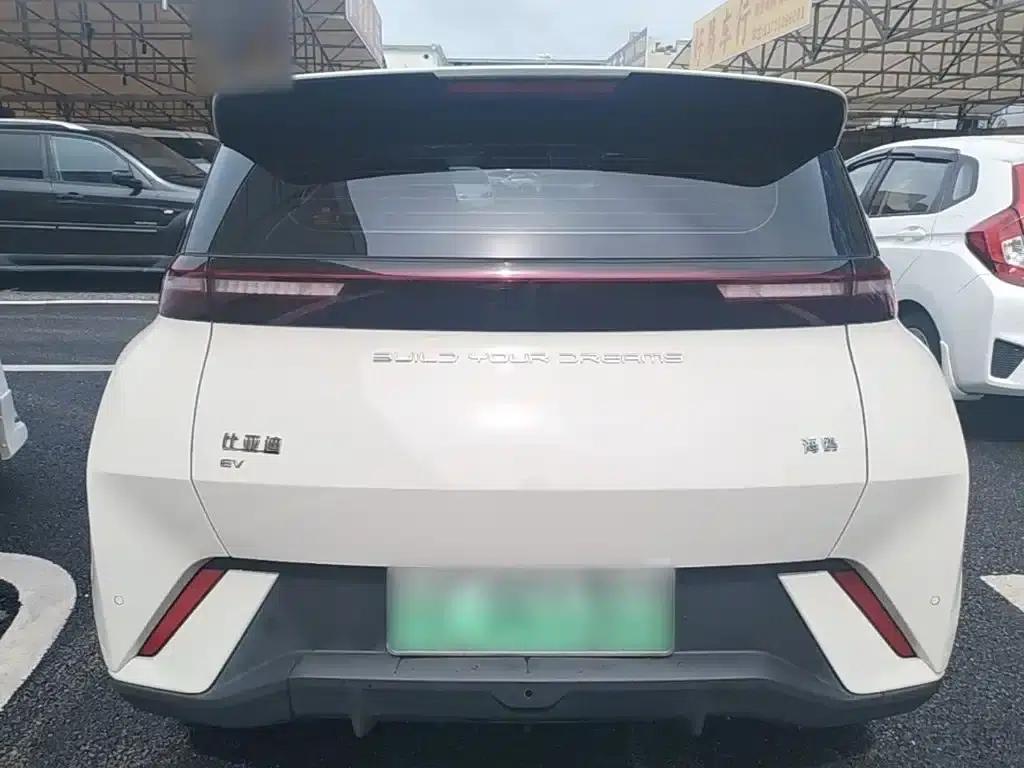 Seagull 2023 Freedom Edition — миниатюра 6
