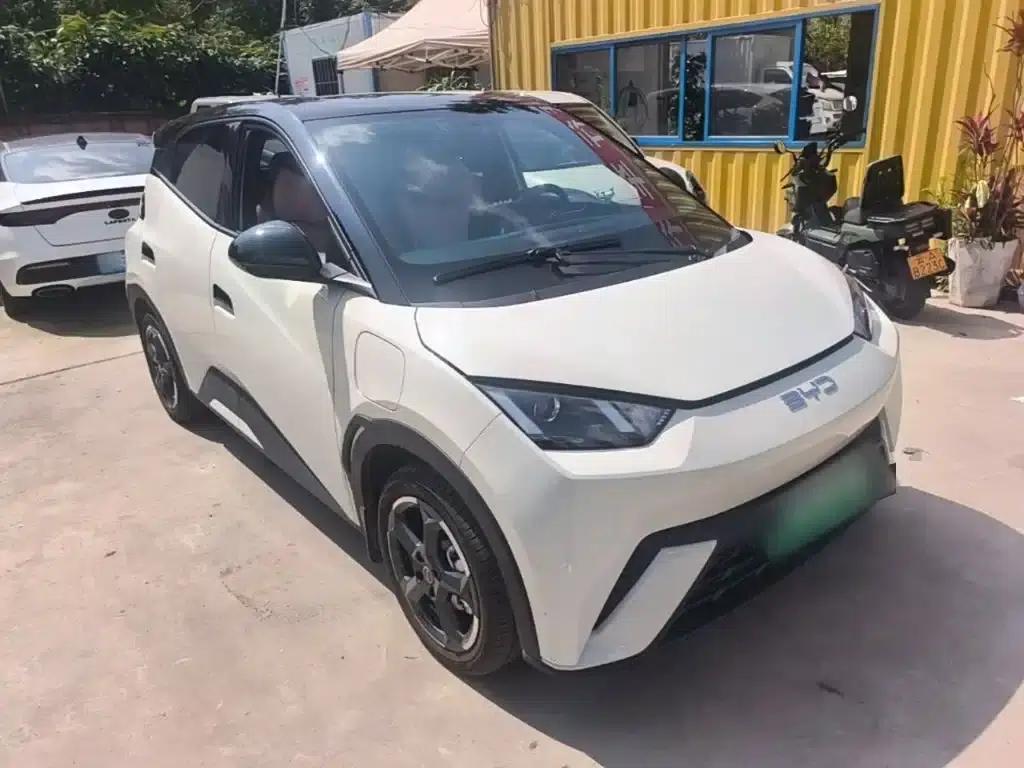 Seagull 2024 Glory Edition 305km Freedom Edition — миниатюра 4