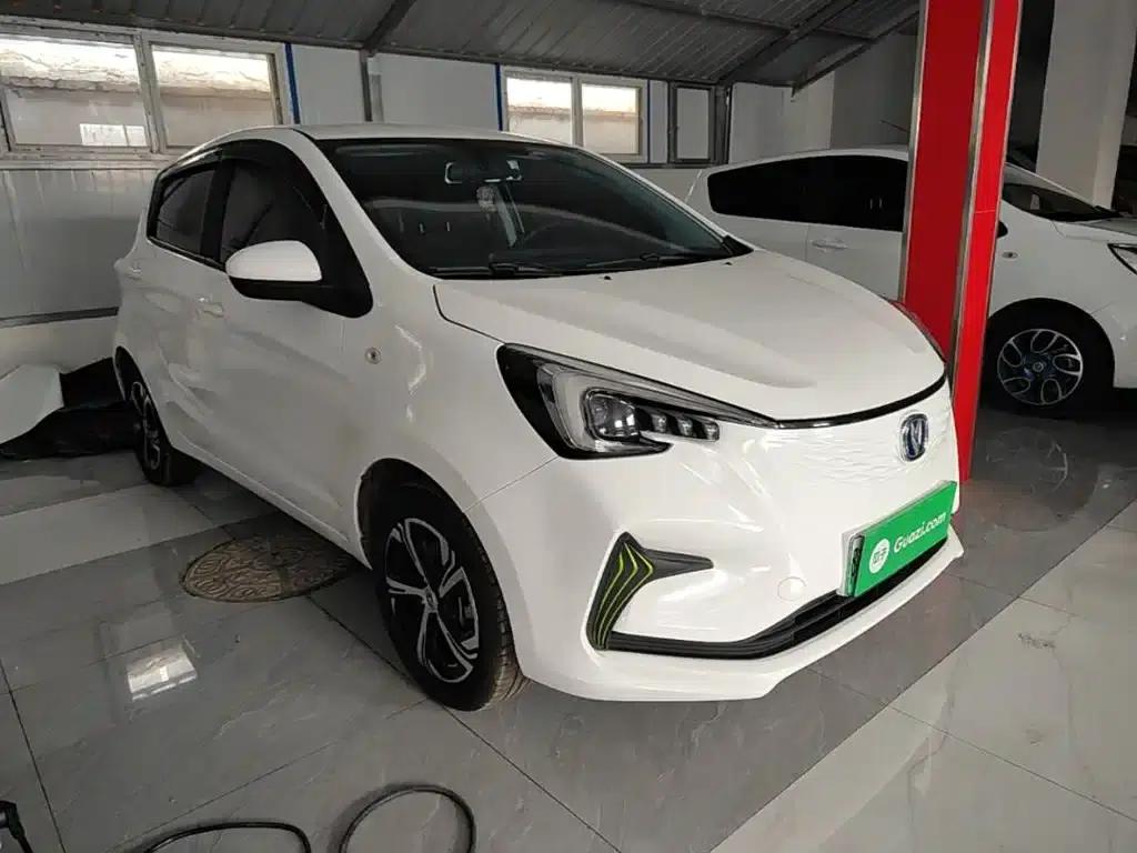 Changan Benben E-Star 2020 Heartbeat Edition Ternary Lithium Lithium — миниатюра 4