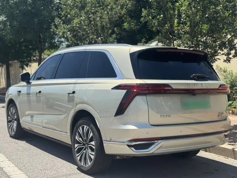 Wey Lanshan 2023 Four-Wheel Drive Ultra-Long Range Version — миниатюра 4