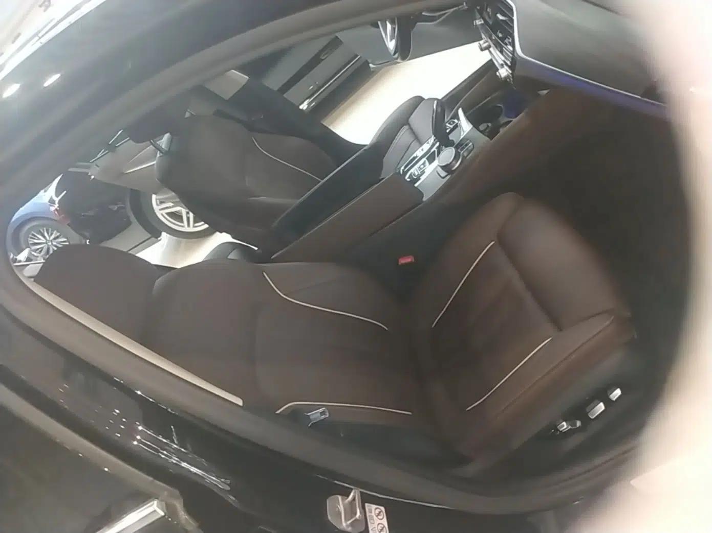 BMW 5 Series 2021 530Li Luxury Edition Premium Package — миниатюра 19