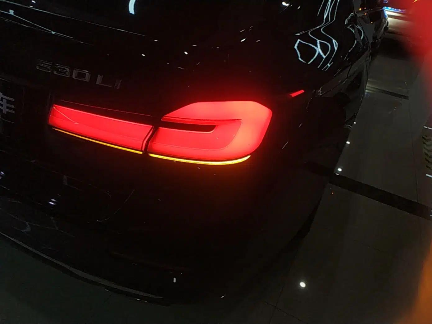 BMW 5 Series 2021 530Li Luxury Edition Premium Package — миниатюра 9