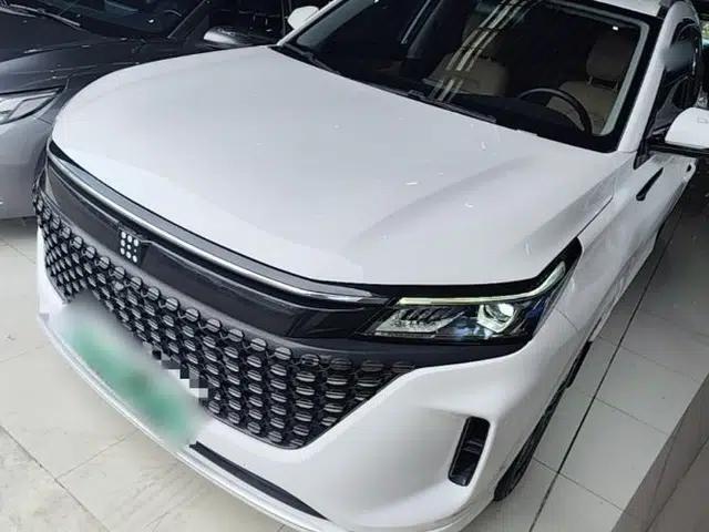 Landian E5 2023 1.5L DE-i 100KM Comfort Edition 7-Seater