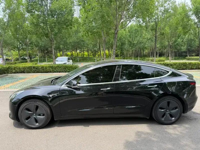 Model 3 2019 Standard Range Rear-Wheel Drive Upgrade — миниатюра 4