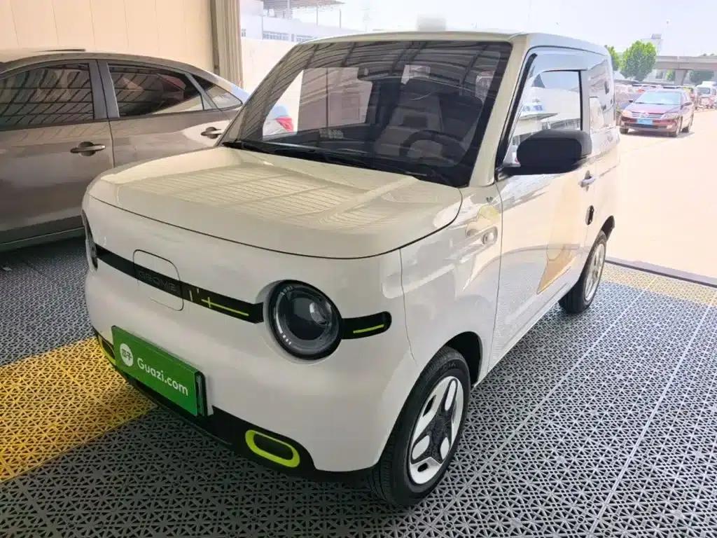 Panda 2025 Panda Mini 210km - Energetic Bear — миниатюра 2