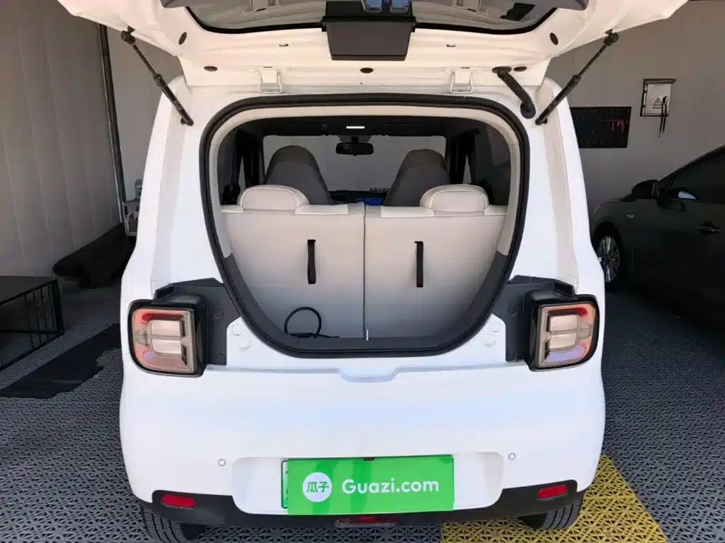 Panda 2025 Panda Mini 210km - Energetic Bear — миниатюра 19