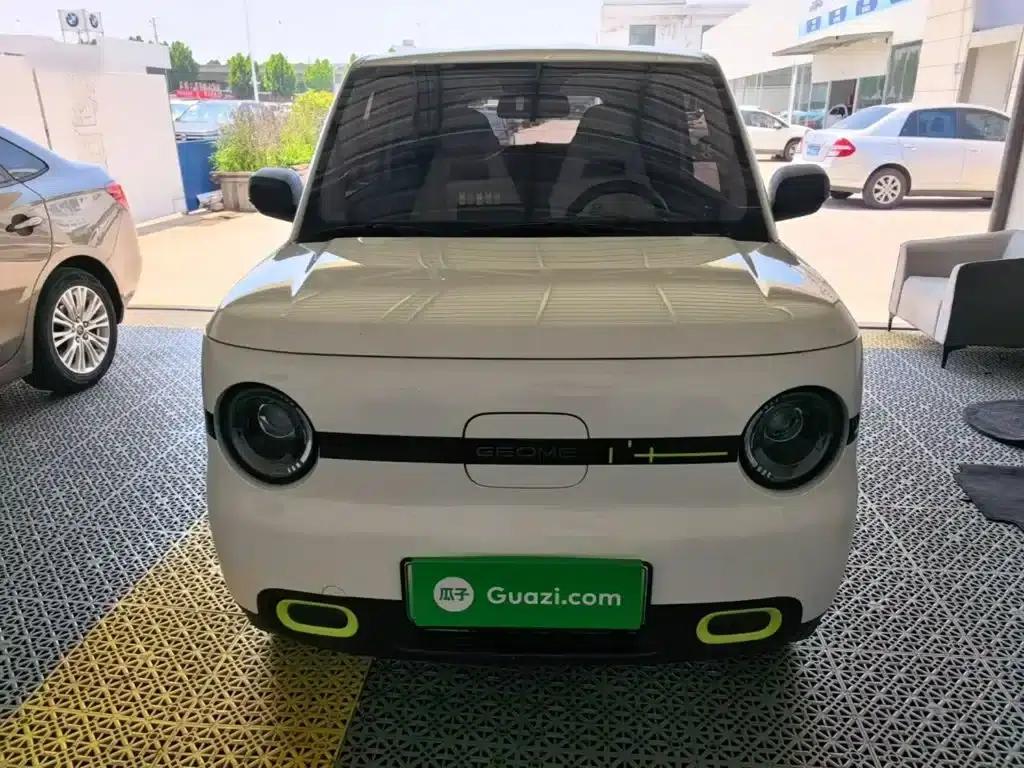 Panda 2025 Panda Mini 210km - Energetic Bear — миниатюра 3