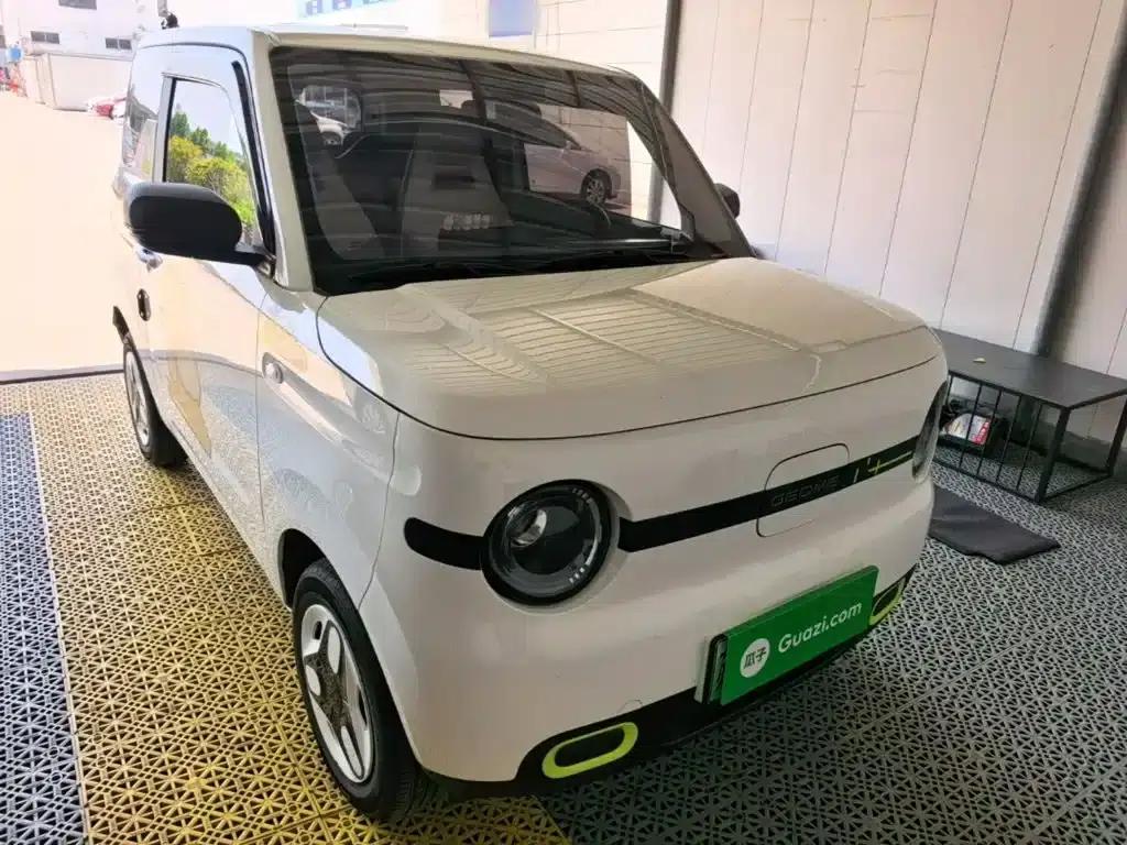 Panda 2025 Panda Mini 210km - Energetic Bear — миниатюра 4