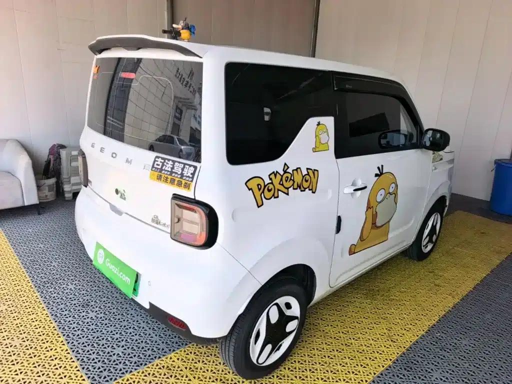 Panda 2025 Panda Mini 210km - Energetic Bear — миниатюра 7