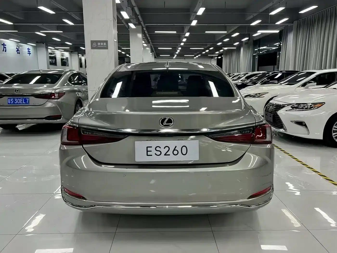 Lexus ES 2018 260 Premium Edition (China V Emission Standard) — миниатюра 8