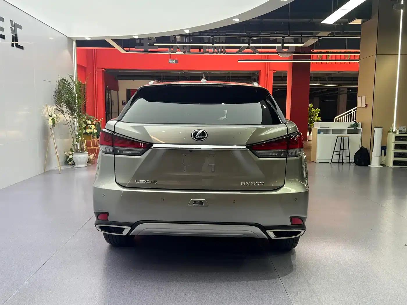 Lexus RX 2020 Facelift 300 AWD Elegant Edition — миниатюра 18
