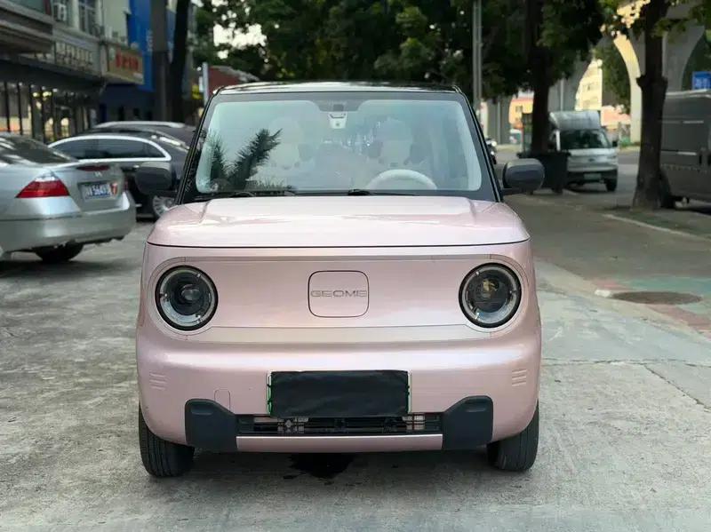 Panda 2023 200km Panda Mini Agile Bear — миниатюра 2
