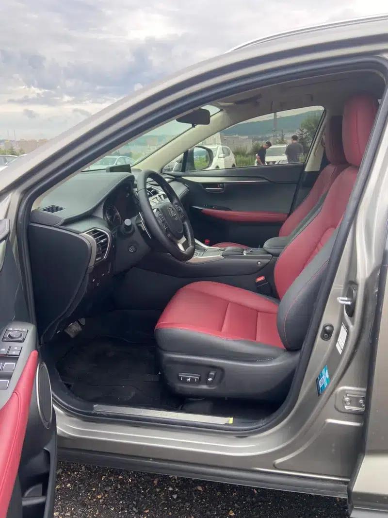 Lexus NX 2020 200 AWD Sport Edition (China V Emission Standard) — миниатюра 9