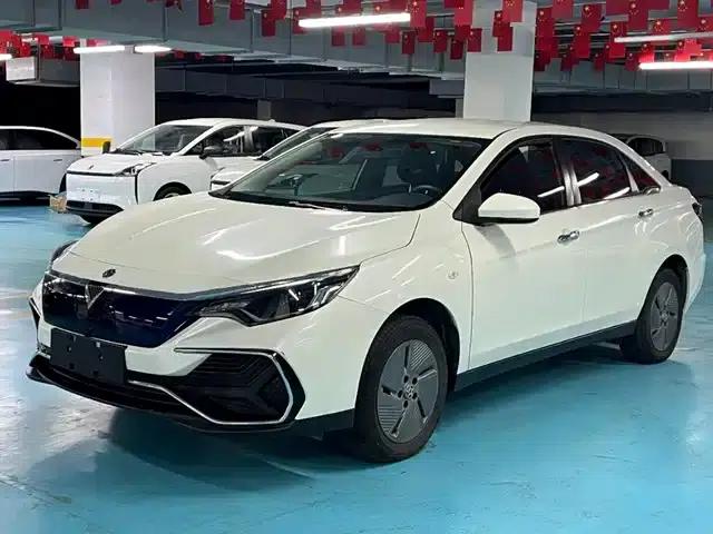 Venucia D60EV 2023 PLUS Smart Edition RJ Model