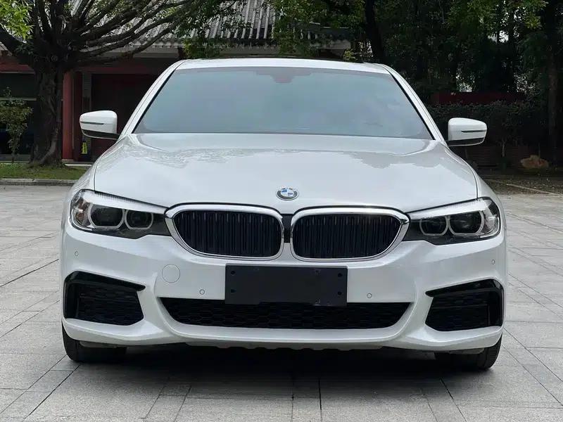 2019 BMW 5 Series 530Li Leading Edition M Sport Package — миниатюра 2