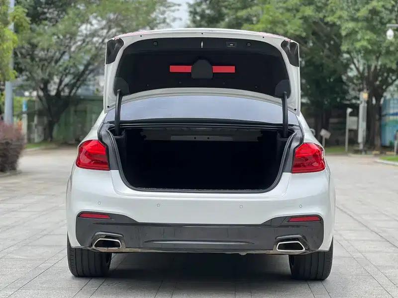 2019 BMW 5 Series 530Li Leading Edition M Sport Package — миниатюра 11