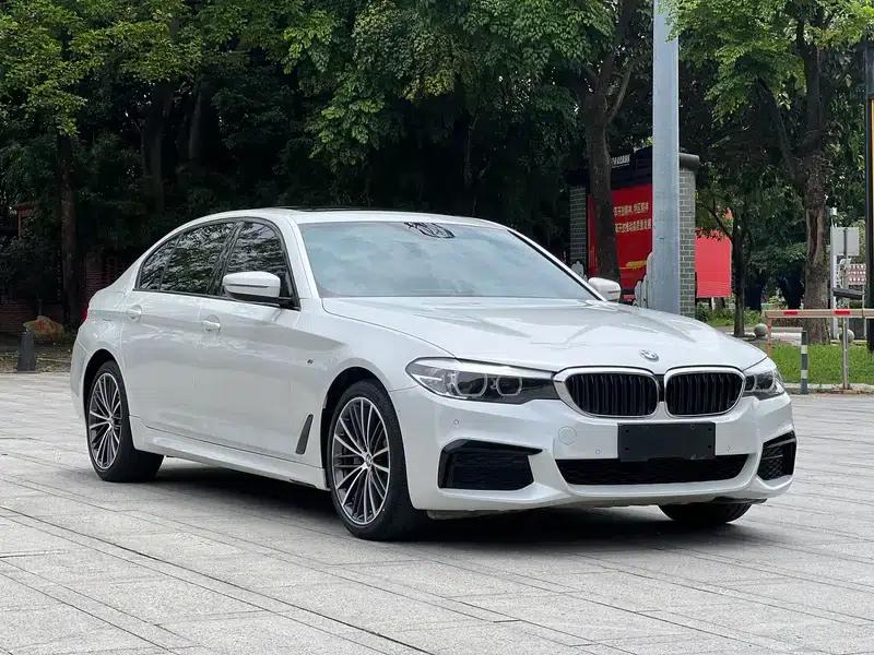 2019 BMW 5 Series 530Li Leading Edition M Sport Package — миниатюра 3
