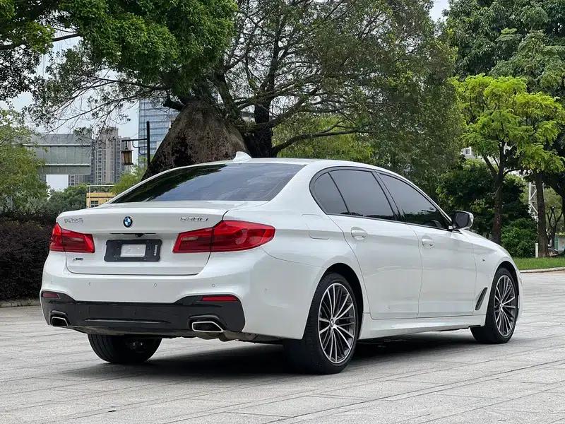 2019 BMW 5 Series 530Li Leading Edition M Sport Package — миниатюра 7