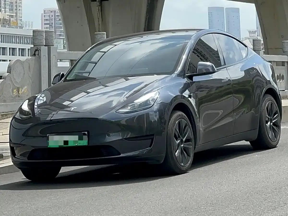 Model Y 2024 Rear-Wheel Drive — миниатюра 1